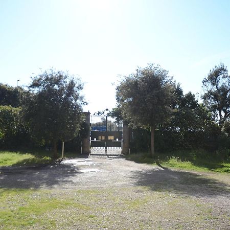 Villa Anselmi - Arteindiretta Livorno Luaran gambar